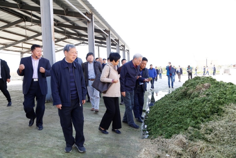 草地农业生态系统国家重点实验室教师在白城市参加学术活动